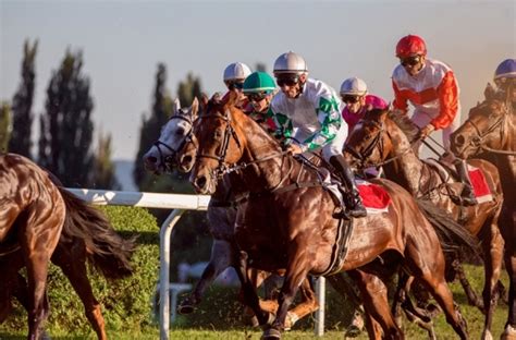 grand national odds calculator|Grand National Bet Calculator .